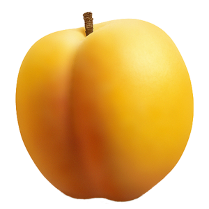 Apricot PNG-12633
